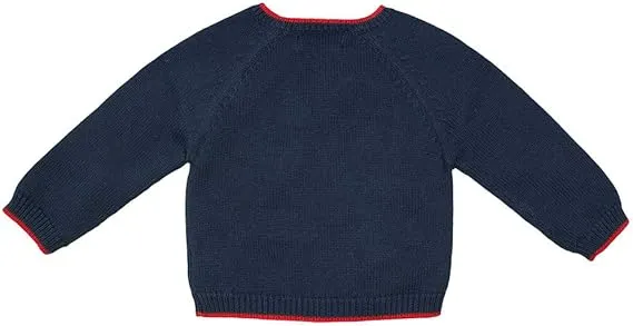 Boys Lobster Sweater