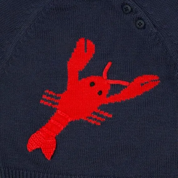 Boys Lobster Sweater