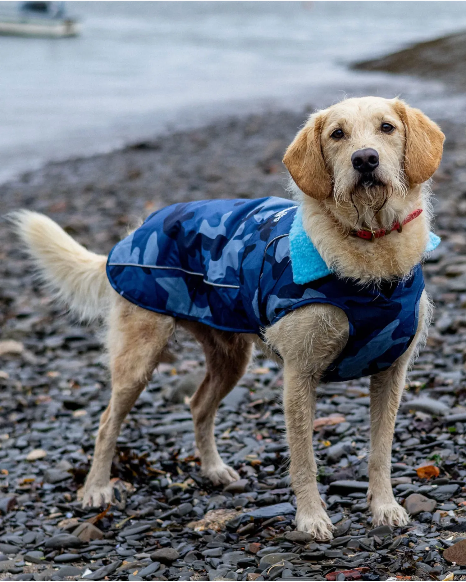 Dog Dryrobe in Blue Camo & Blue