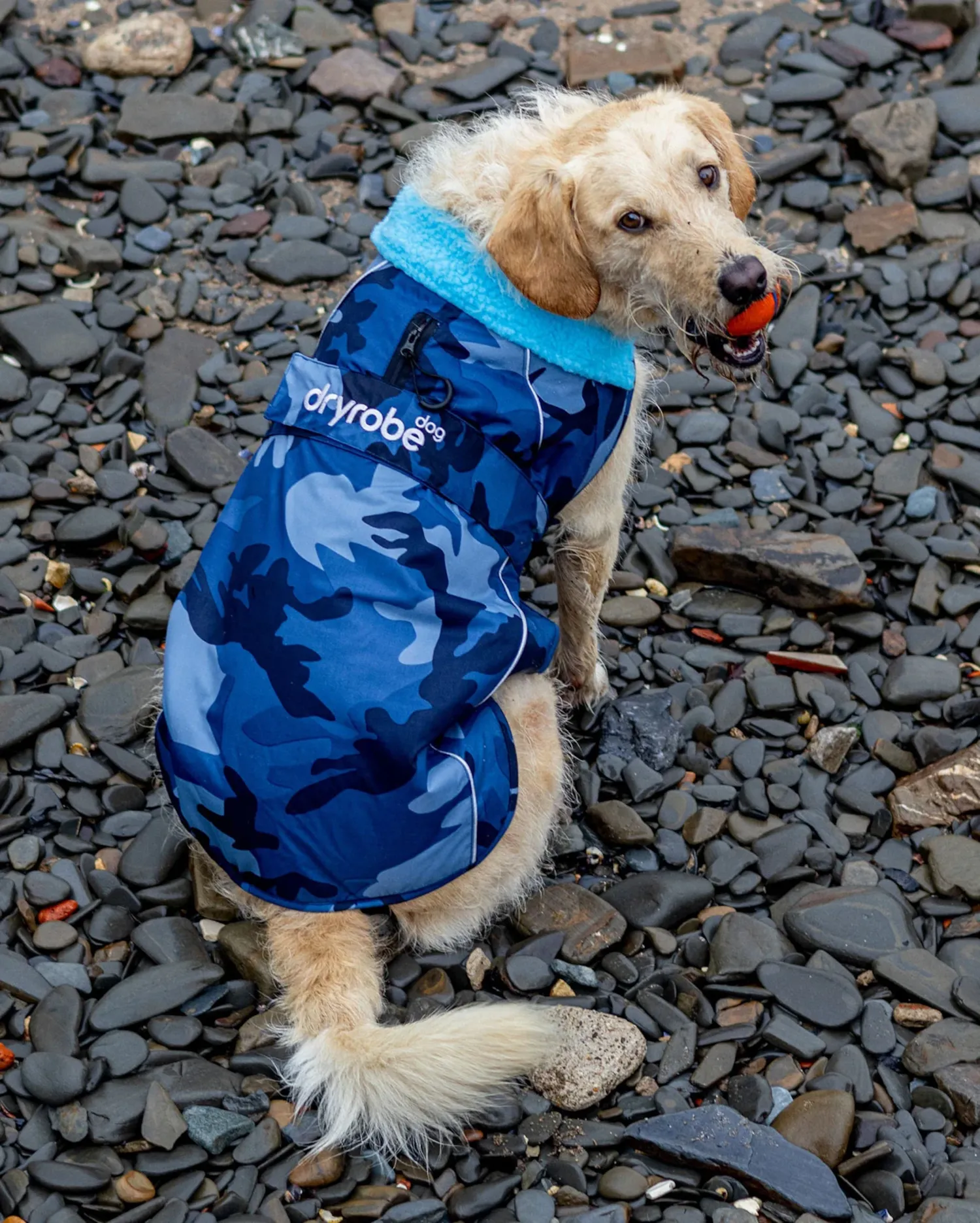 Dog Dryrobe in Blue Camo & Blue