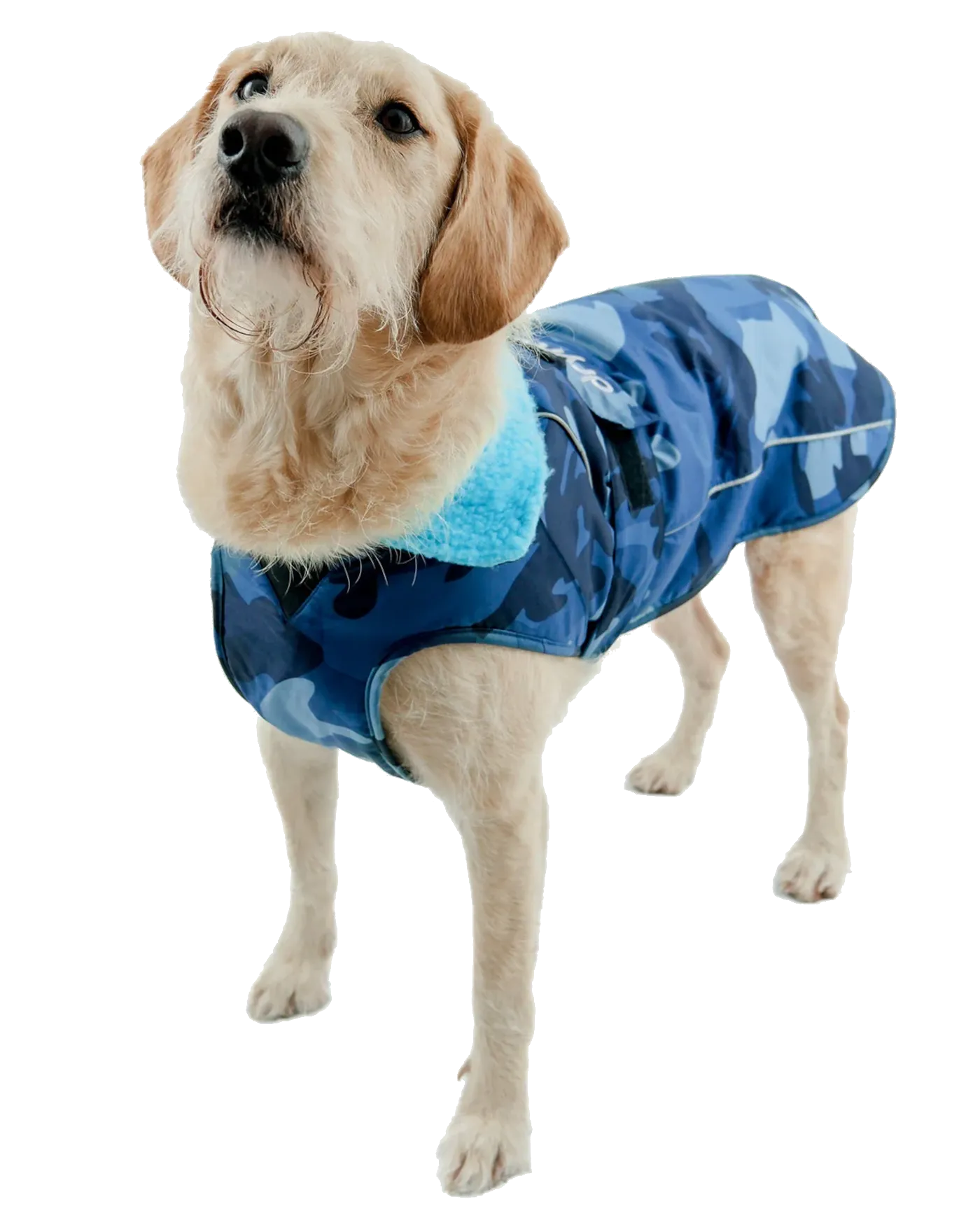 Dog Dryrobe in Blue Camo & Blue
