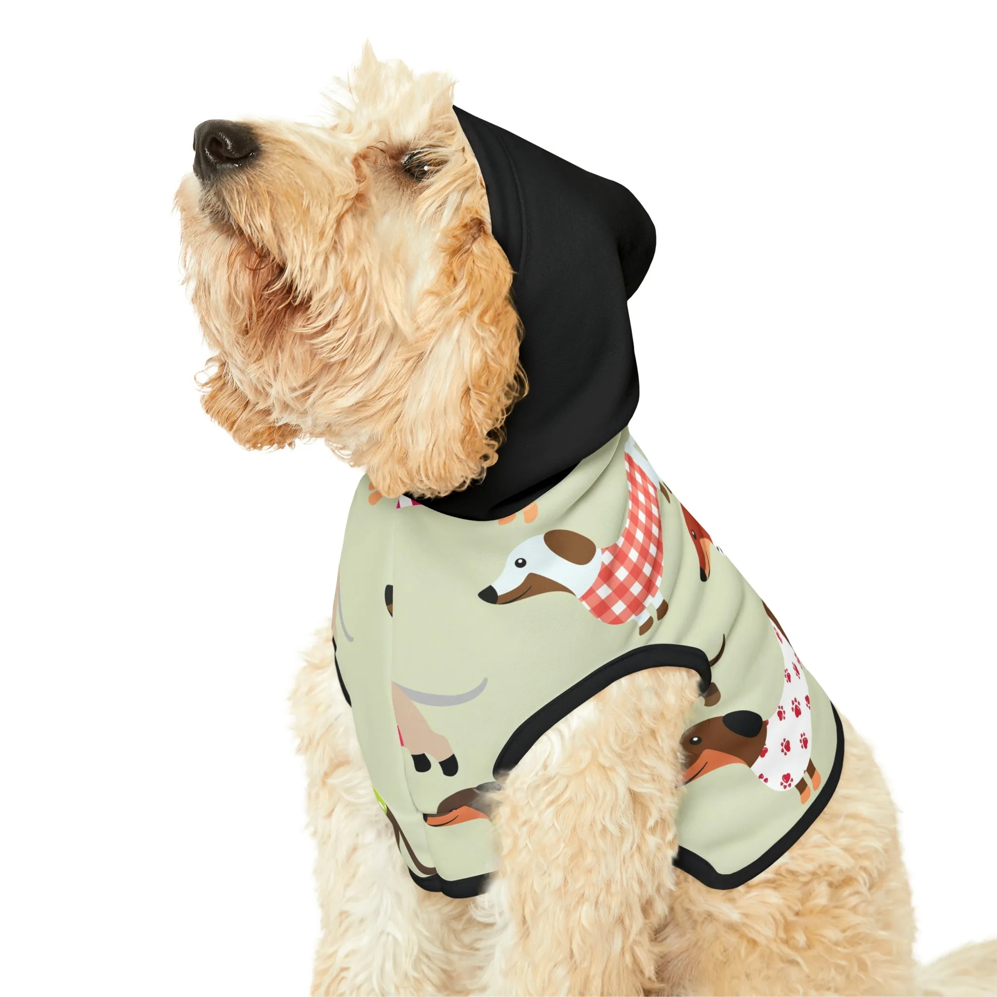 Pet Hoodie - Dachshunds in Sweaters